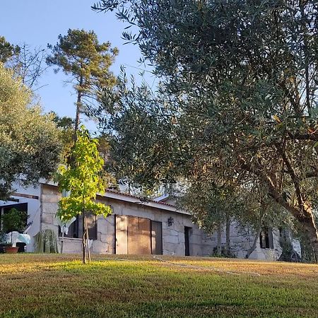 Santar Quinta Da Pedra Mijaゲストハウス エクステリア 写真