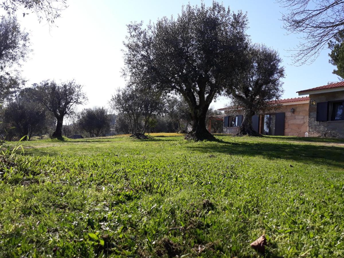 Santar Quinta Da Pedra Mijaゲストハウス エクステリア 写真