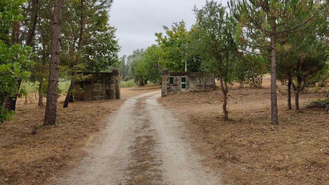 Santar Quinta Da Pedra Mijaゲストハウス エクステリア 写真