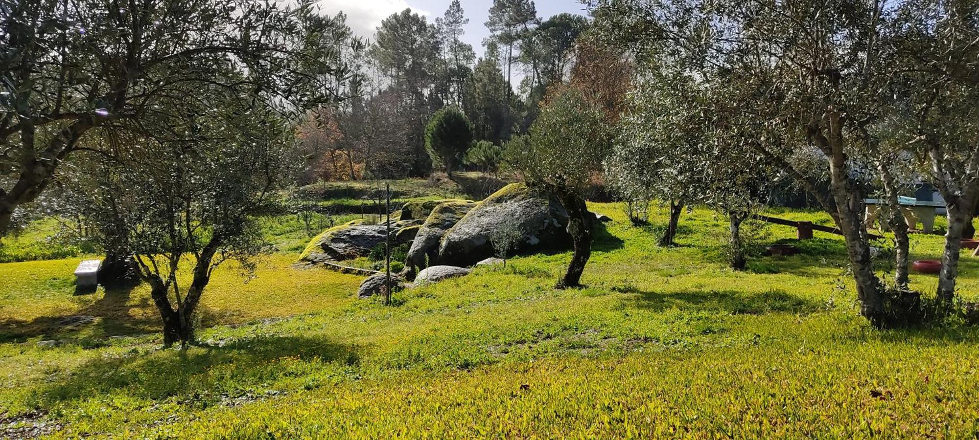 Santar Quinta Da Pedra Mijaゲストハウス エクステリア 写真