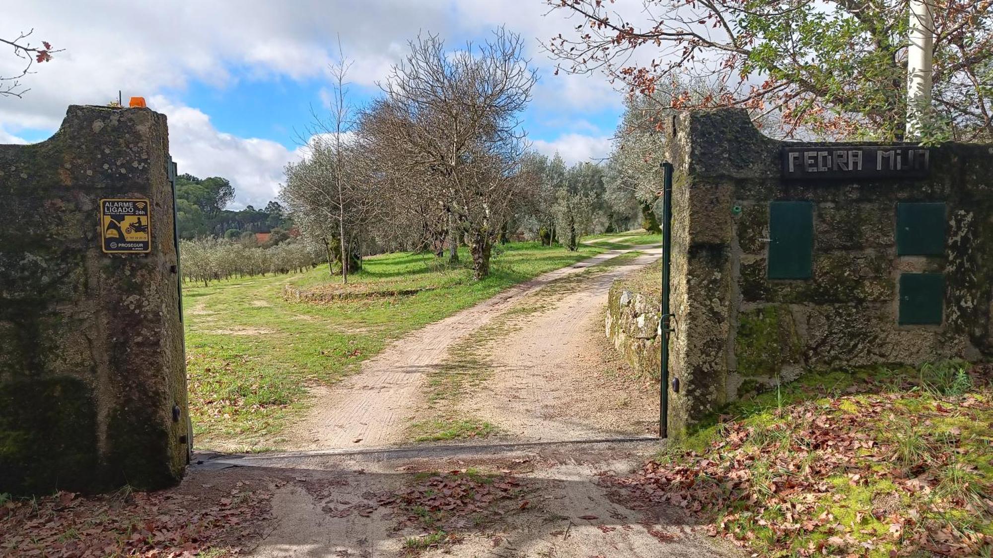 Santar Quinta Da Pedra Mijaゲストハウス エクステリア 写真
