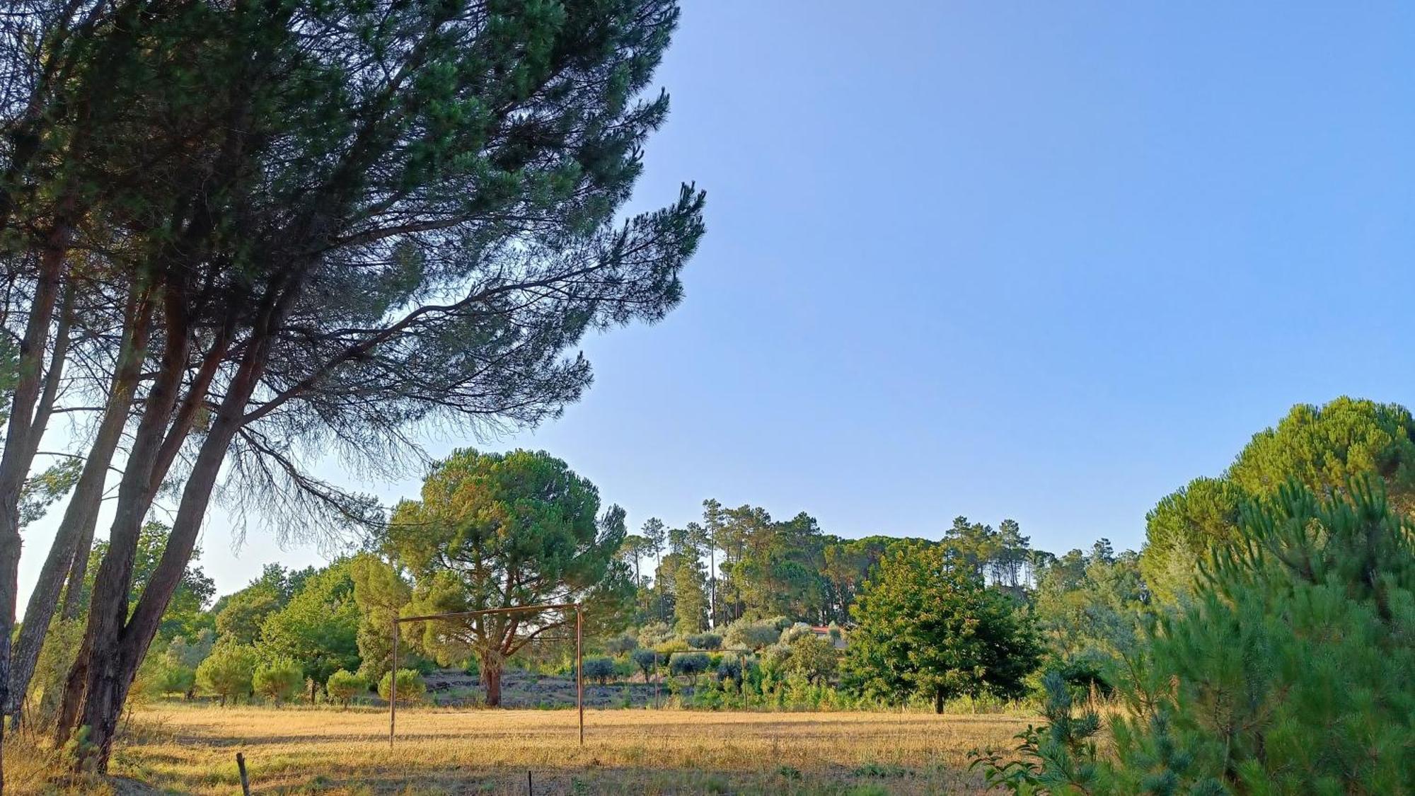 Santar Quinta Da Pedra Mijaゲストハウス エクステリア 写真