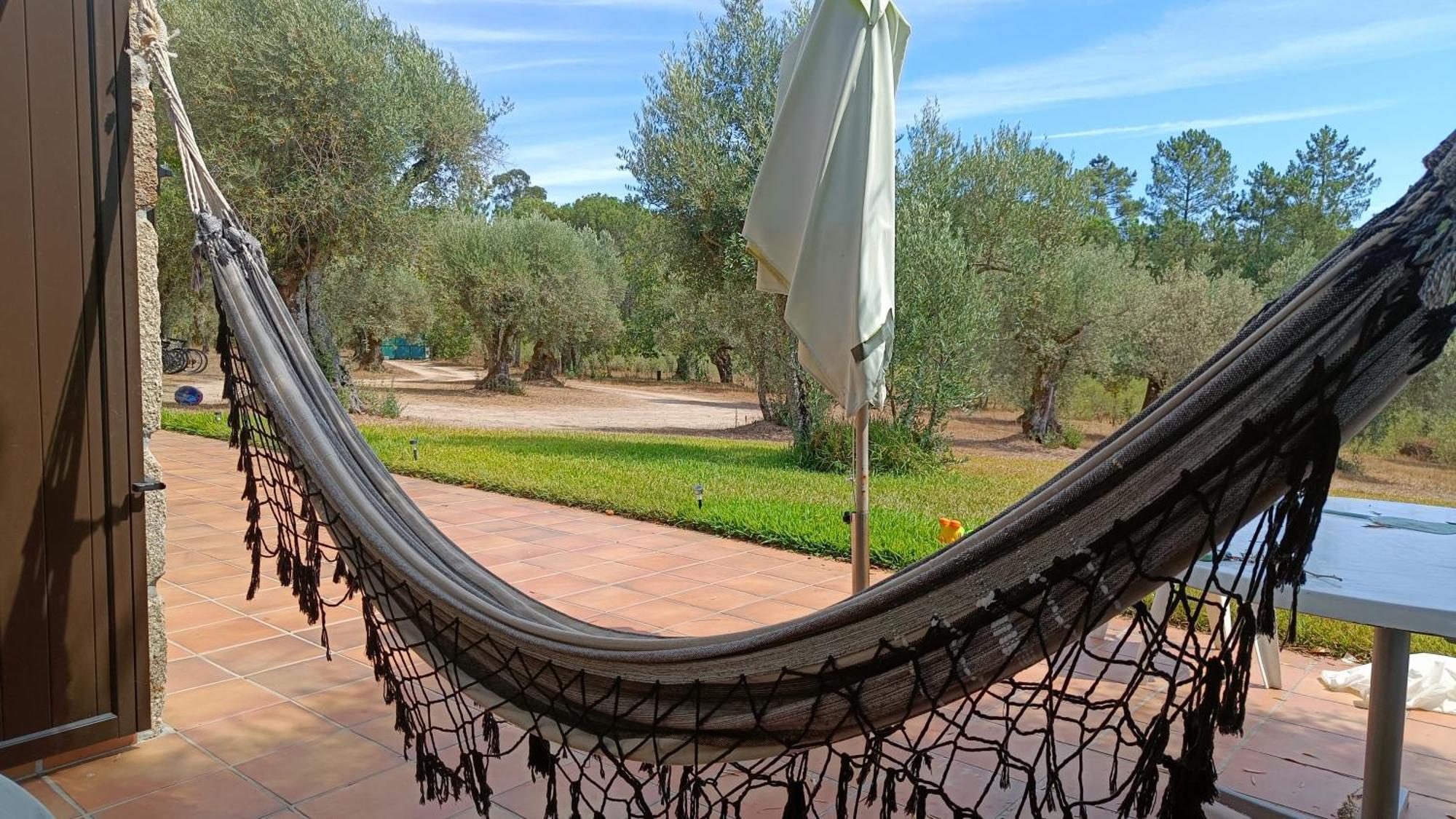 Santar Quinta Da Pedra Mijaゲストハウス エクステリア 写真