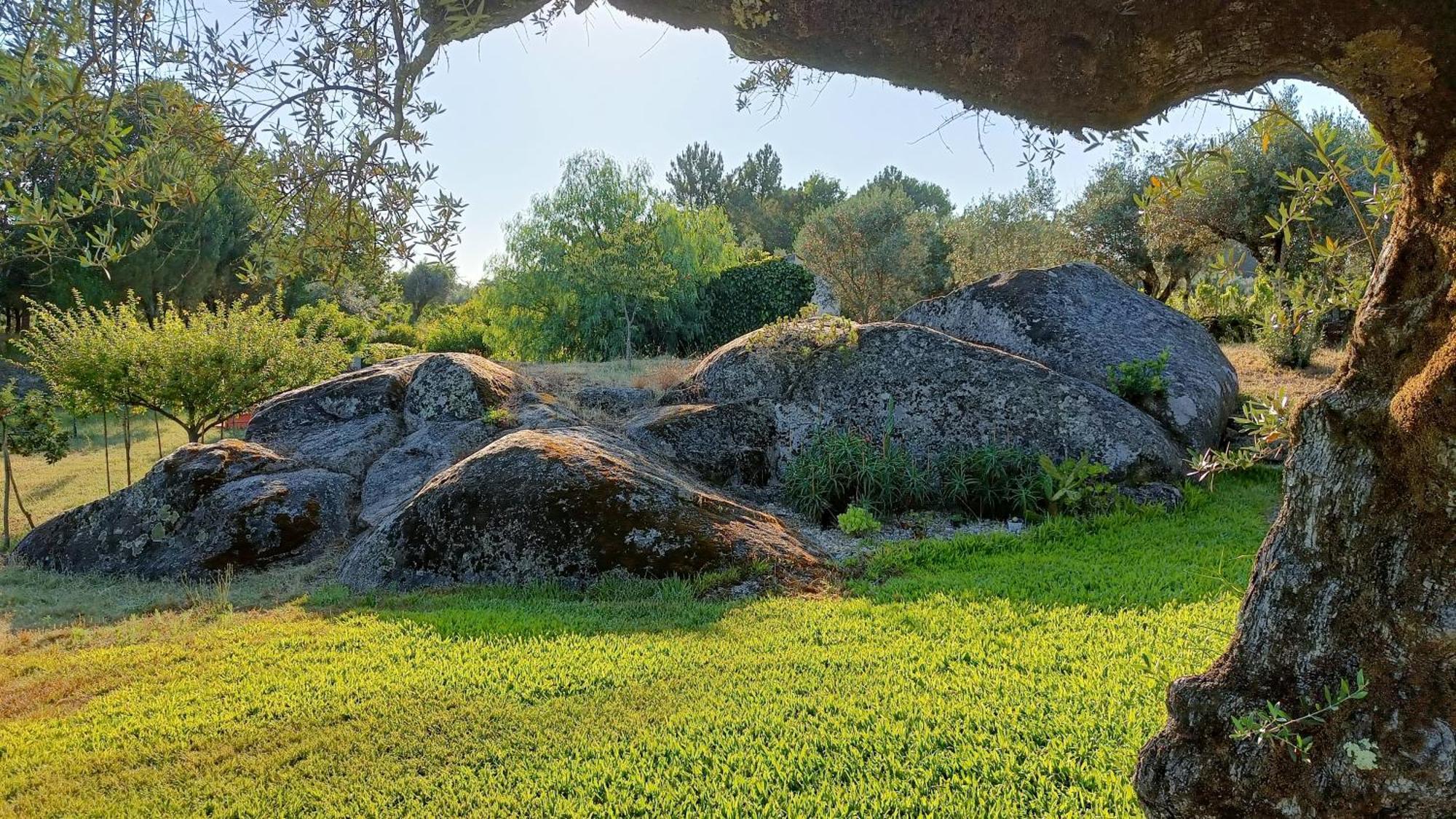 Santar Quinta Da Pedra Mijaゲストハウス エクステリア 写真