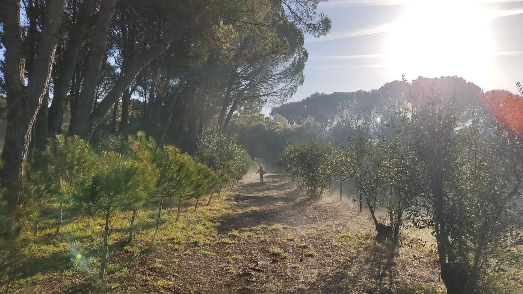 Santar Quinta Da Pedra Mijaゲストハウス エクステリア 写真