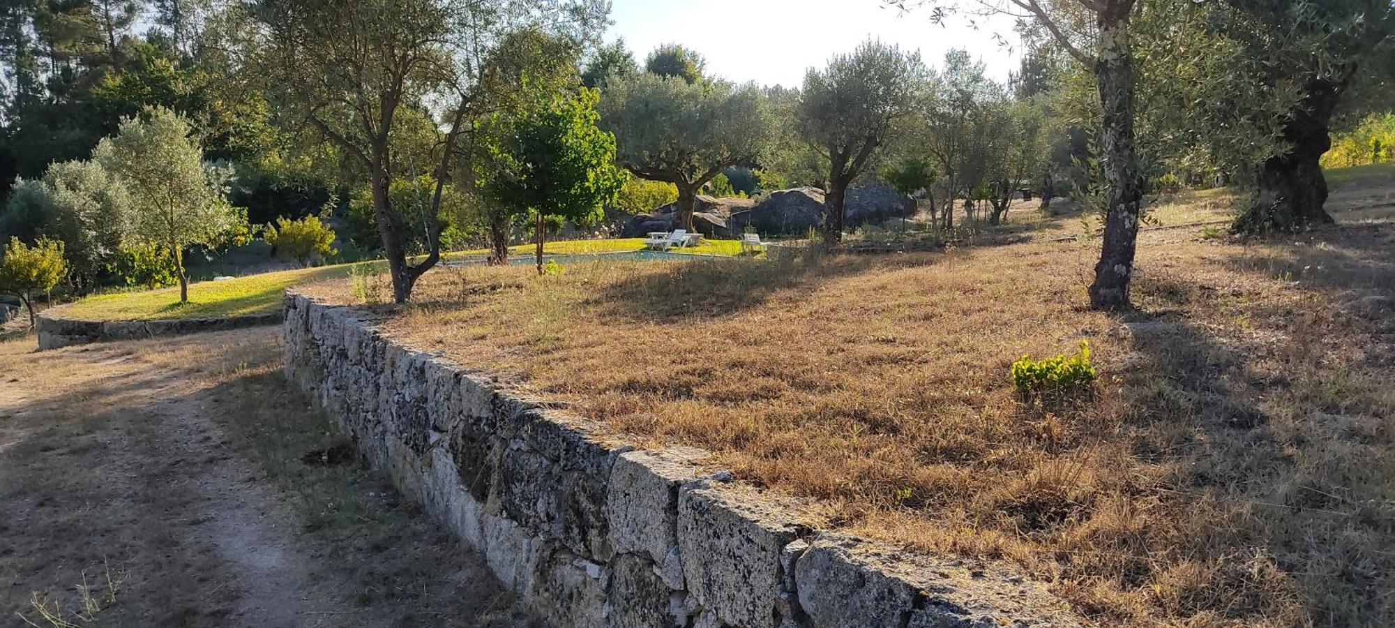 Santar Quinta Da Pedra Mijaゲストハウス エクステリア 写真