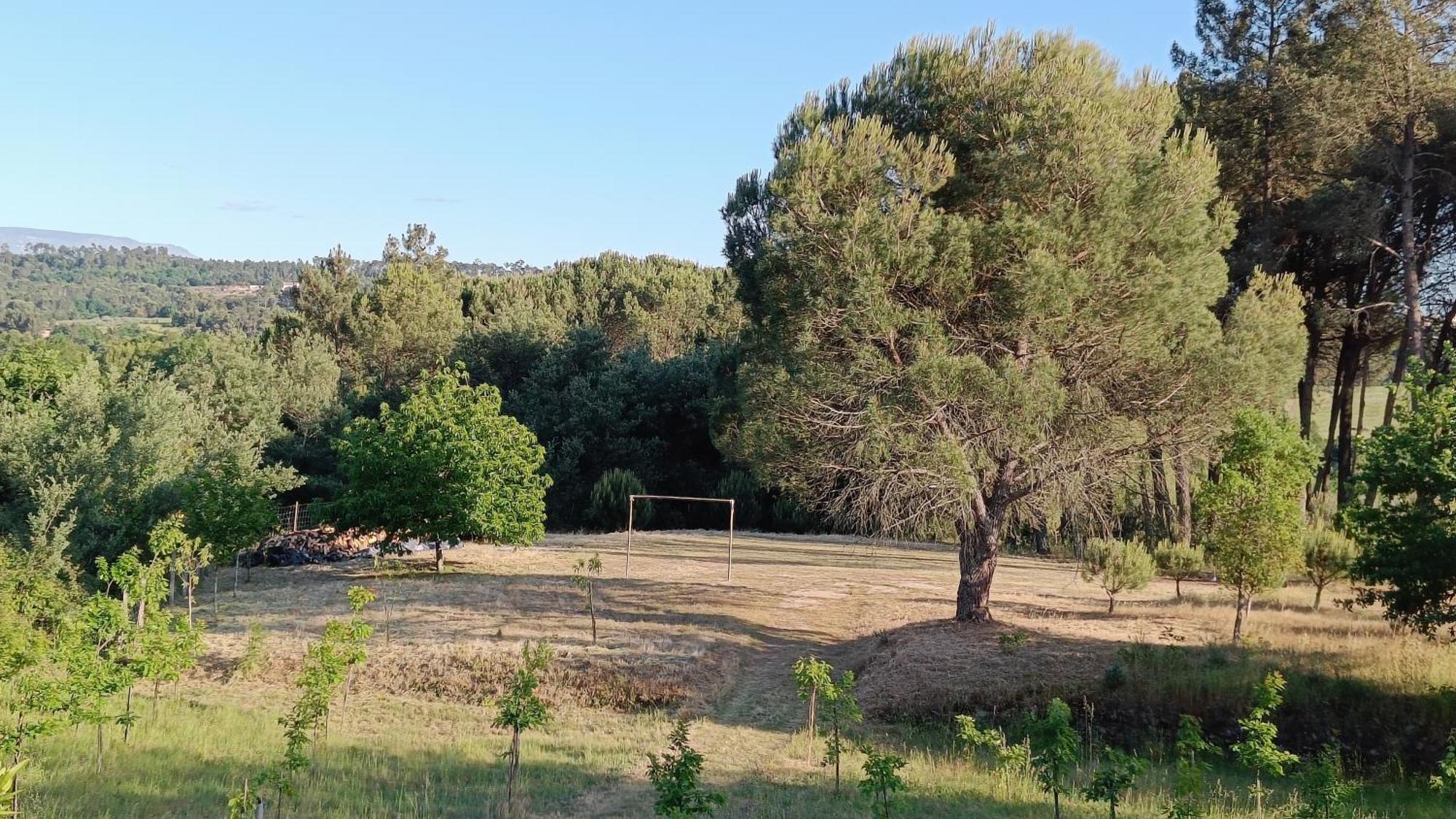Santar Quinta Da Pedra Mijaゲストハウス エクステリア 写真