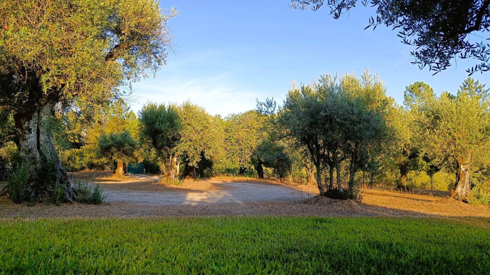 Santar Quinta Da Pedra Mijaゲストハウス エクステリア 写真