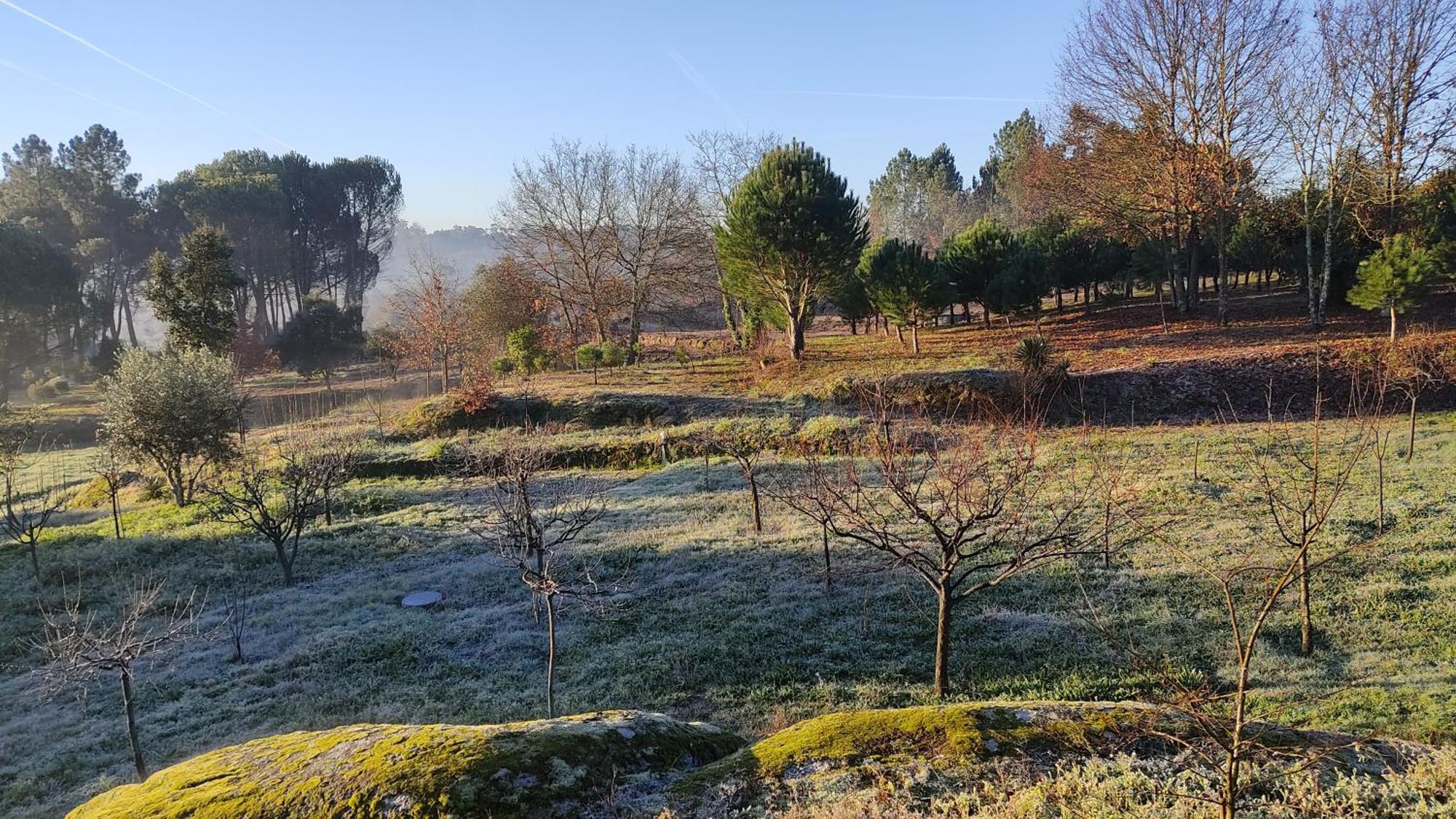 Santar Quinta Da Pedra Mijaゲストハウス エクステリア 写真