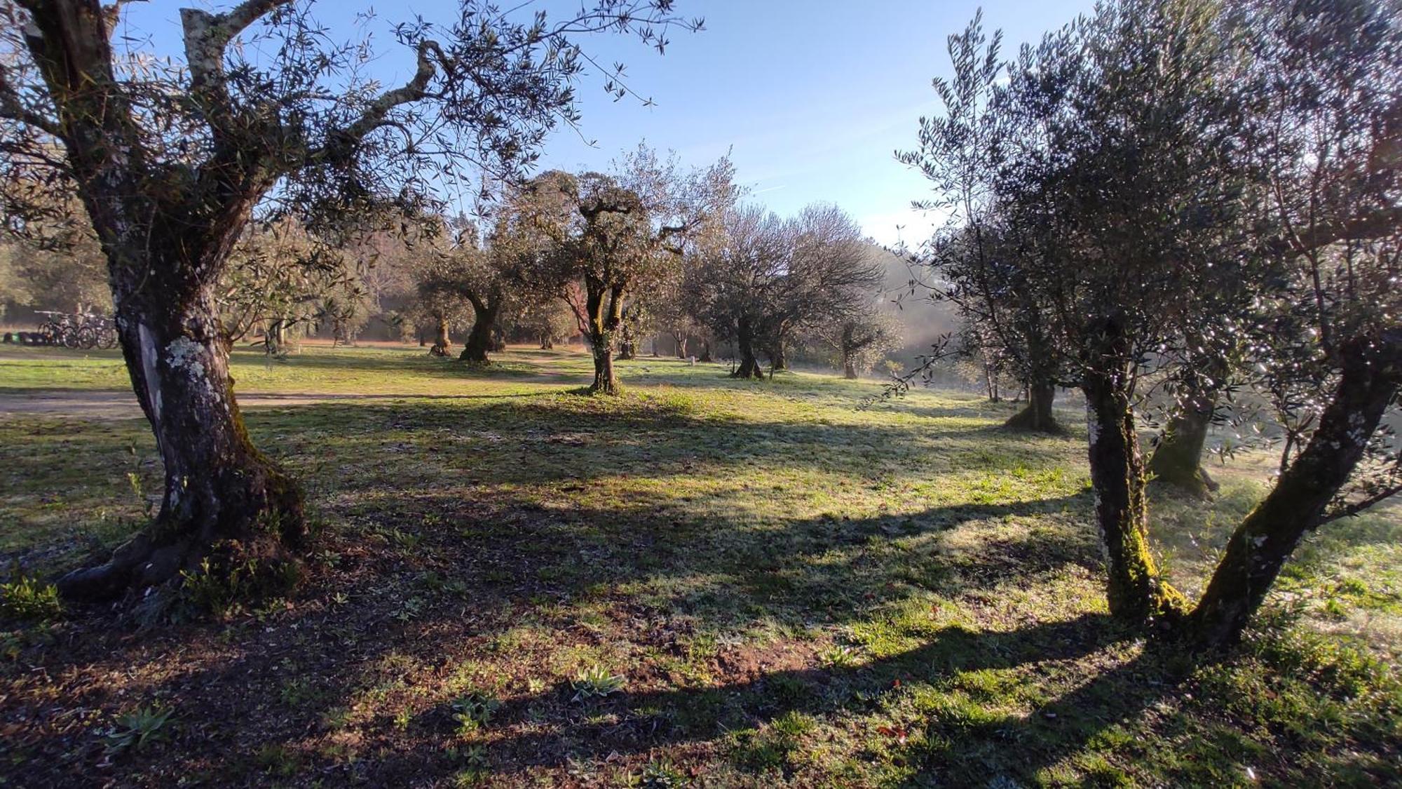 Santar Quinta Da Pedra Mijaゲストハウス エクステリア 写真