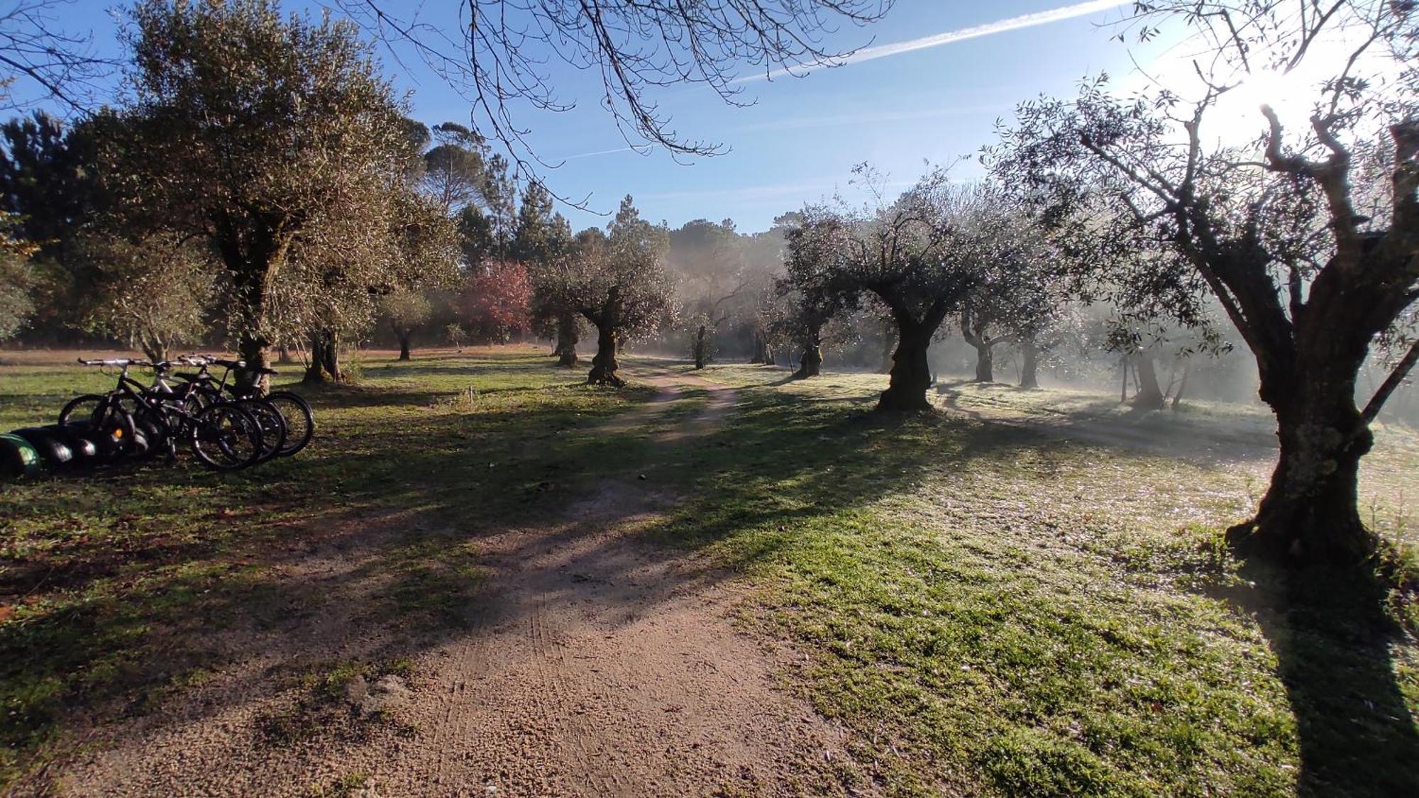 Santar Quinta Da Pedra Mijaゲストハウス エクステリア 写真