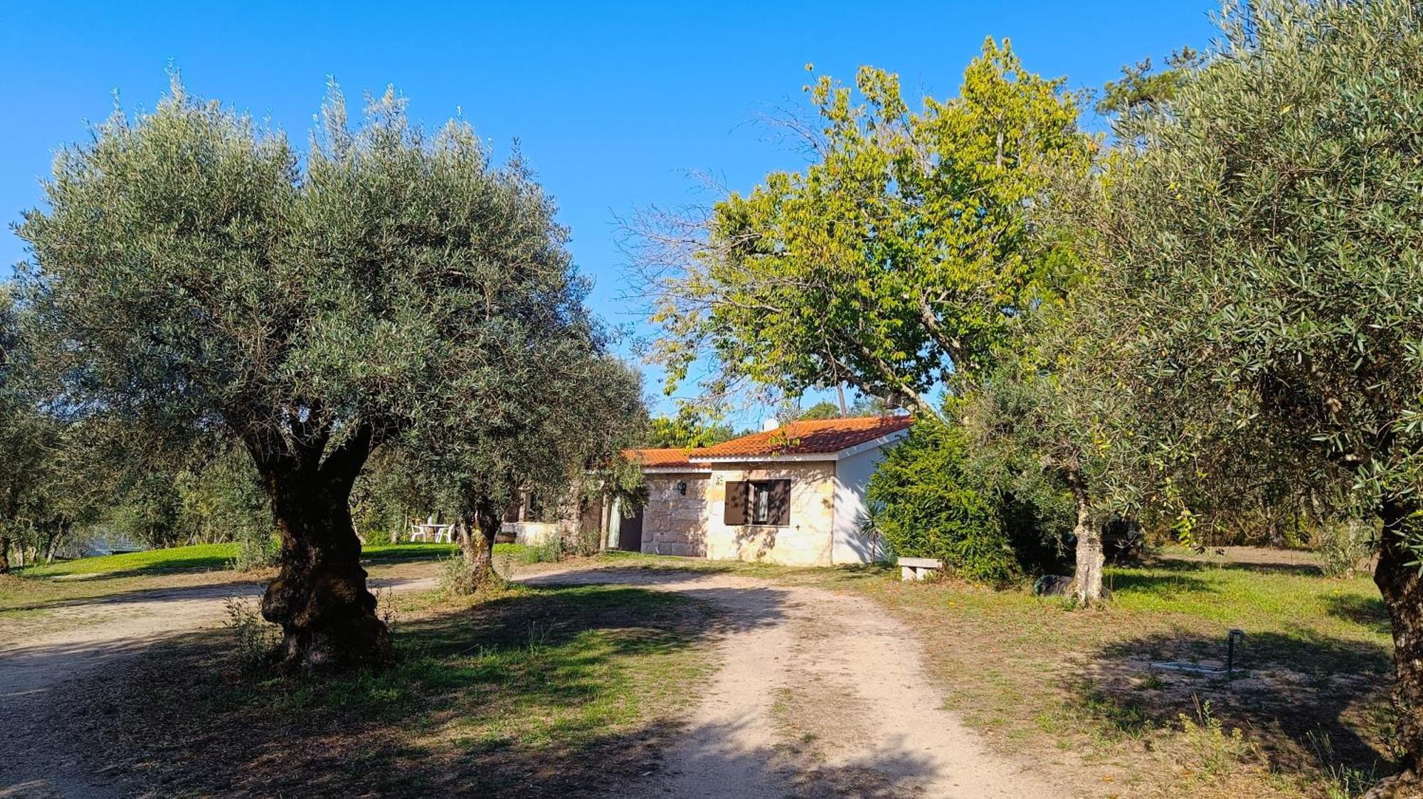 Santar Quinta Da Pedra Mijaゲストハウス エクステリア 写真