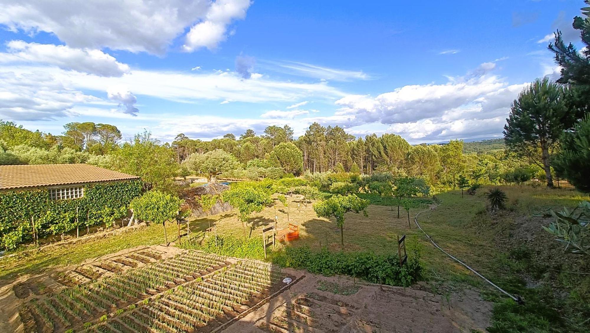 Santar Quinta Da Pedra Mijaゲストハウス エクステリア 写真