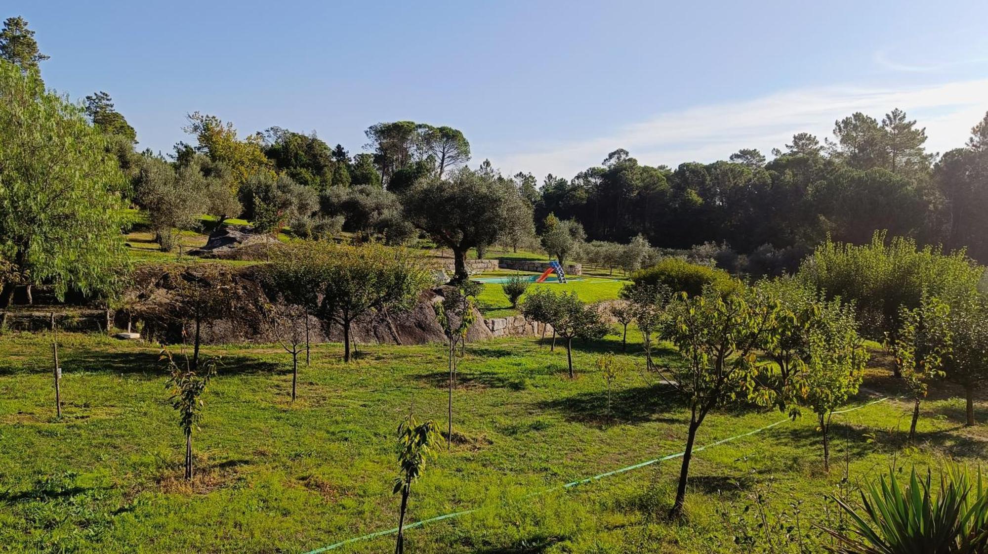 Santar Quinta Da Pedra Mijaゲストハウス エクステリア 写真
