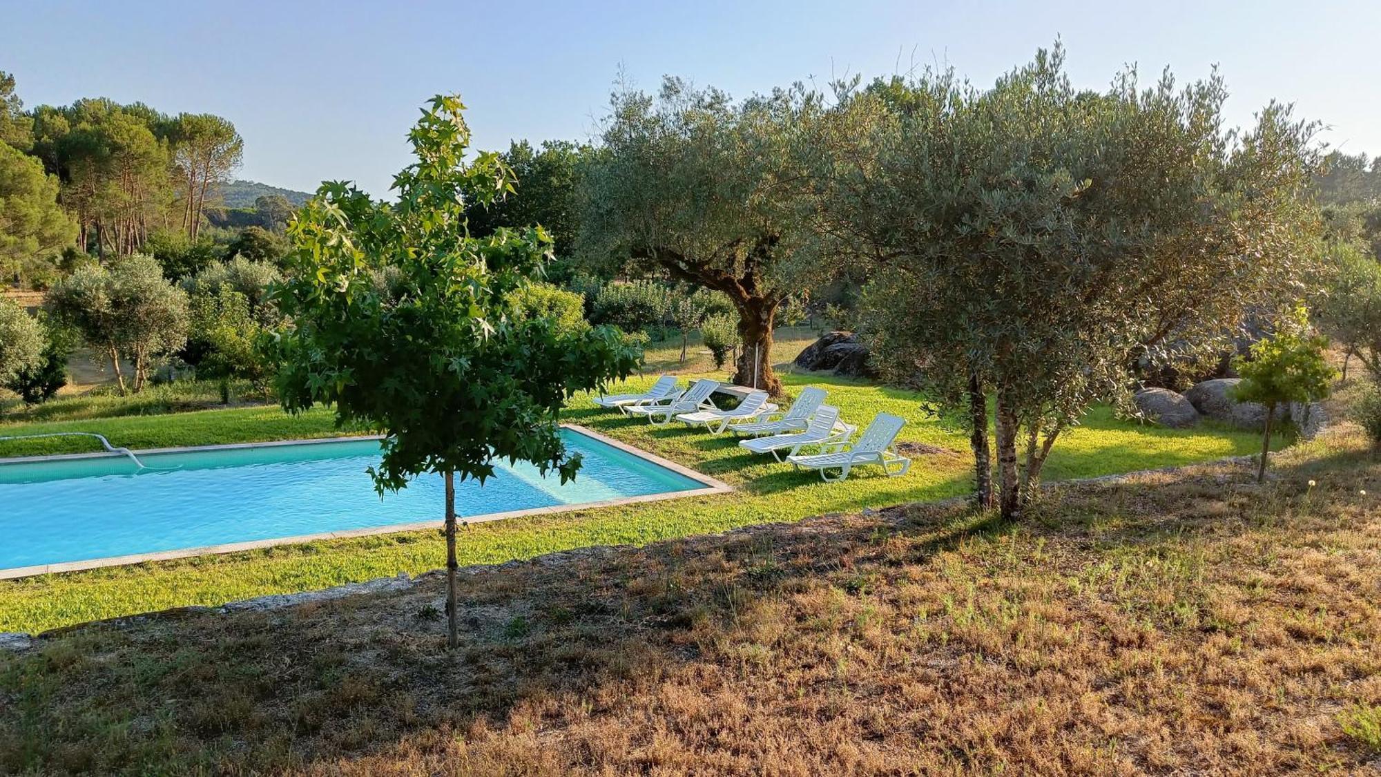 Santar Quinta Da Pedra Mijaゲストハウス エクステリア 写真