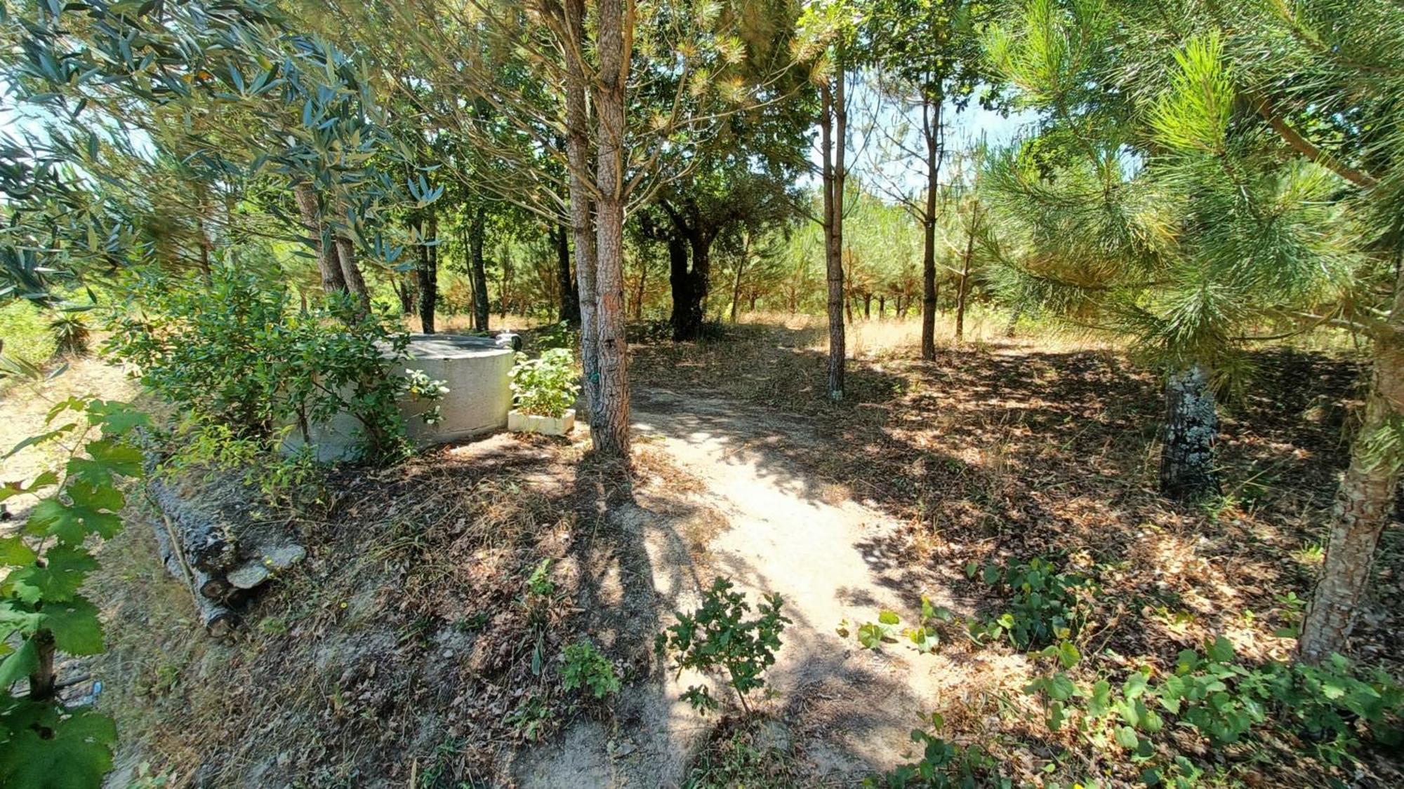 Santar Quinta Da Pedra Mijaゲストハウス エクステリア 写真