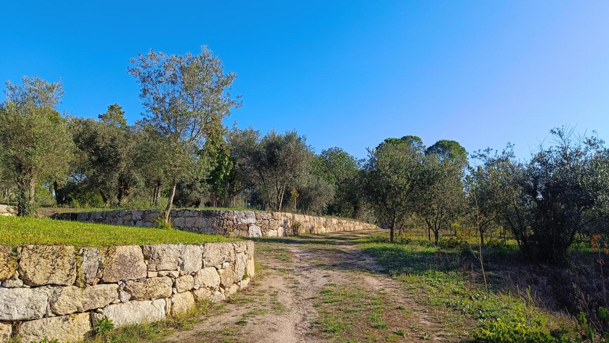 Santar Quinta Da Pedra Mijaゲストハウス エクステリア 写真