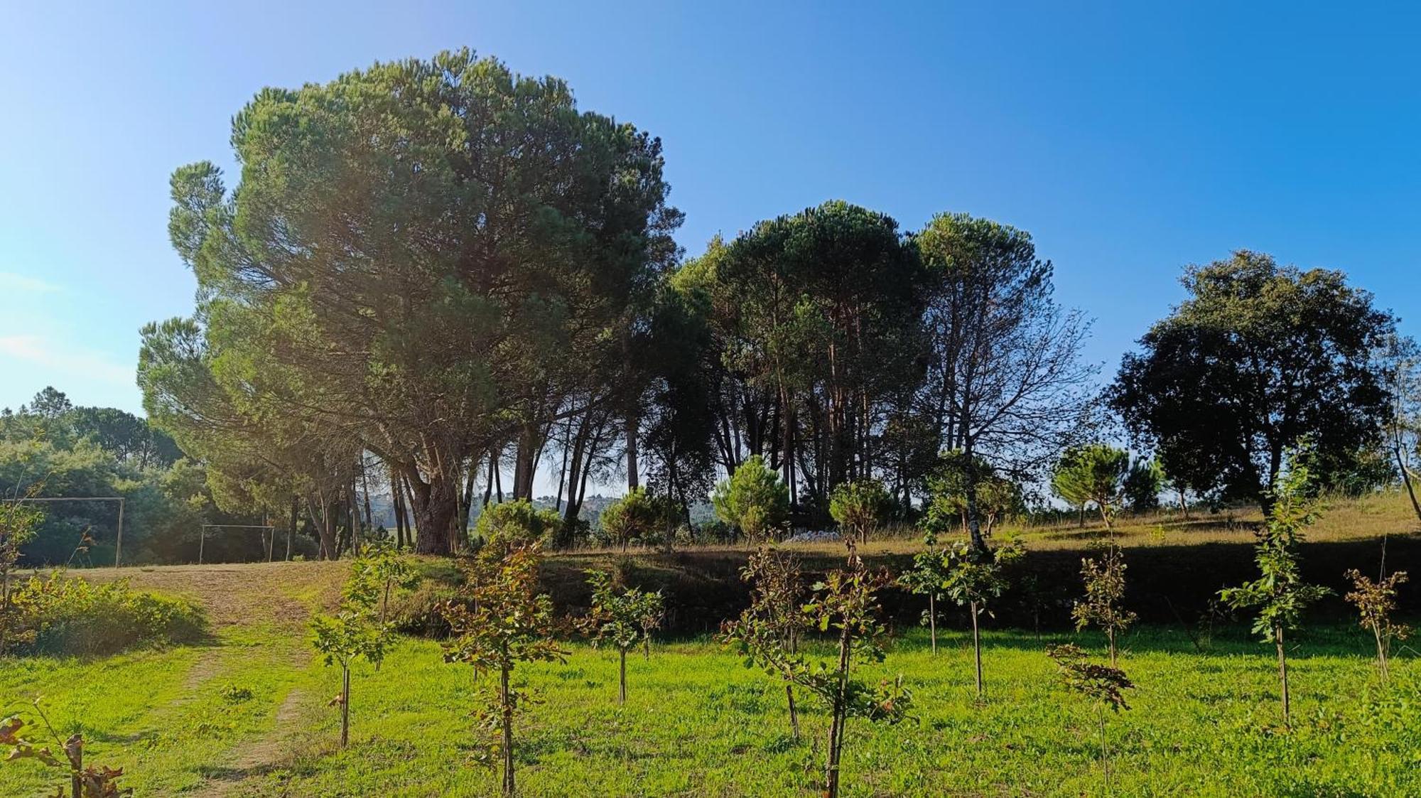 Santar Quinta Da Pedra Mijaゲストハウス エクステリア 写真