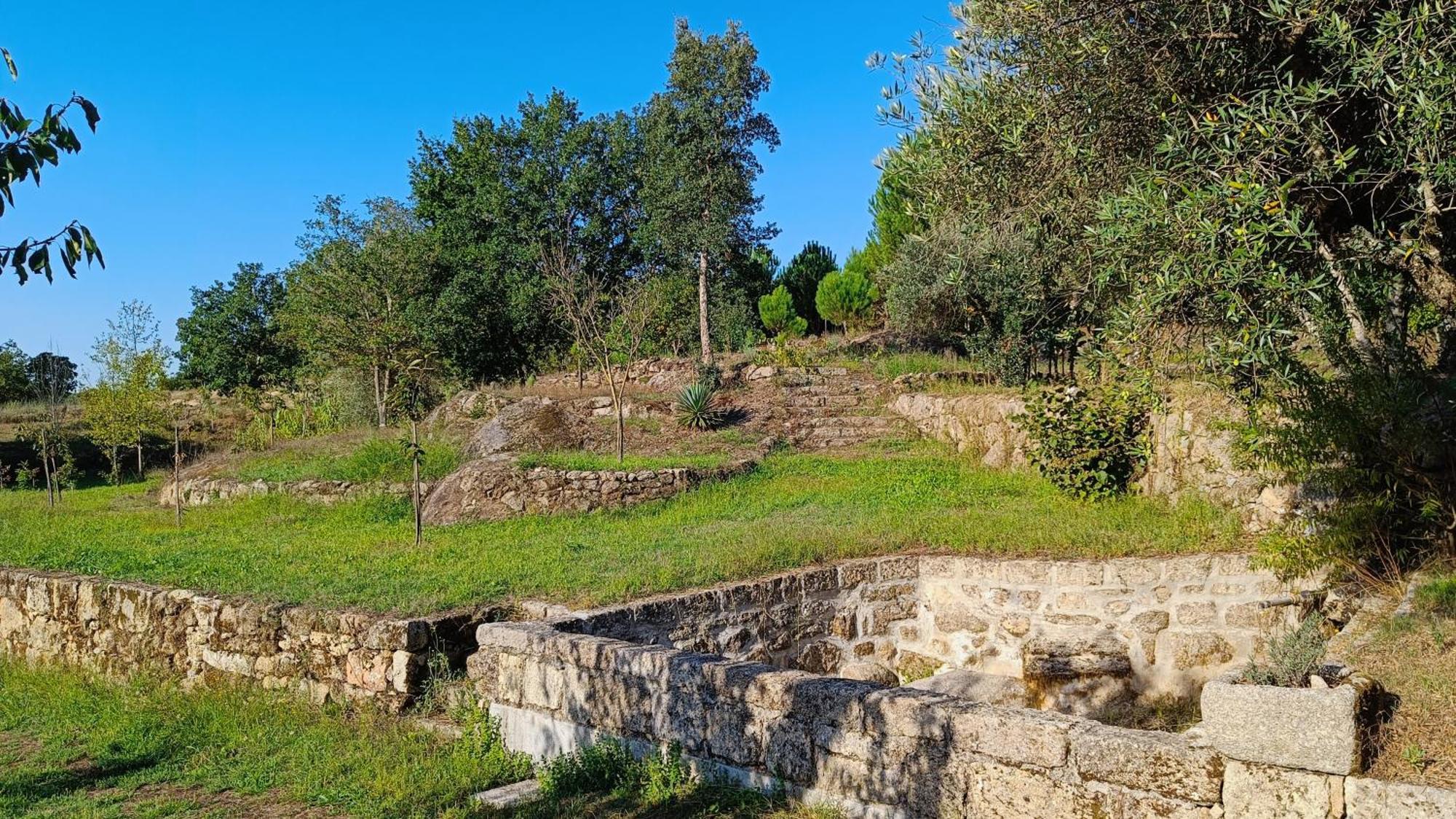 Santar Quinta Da Pedra Mijaゲストハウス エクステリア 写真