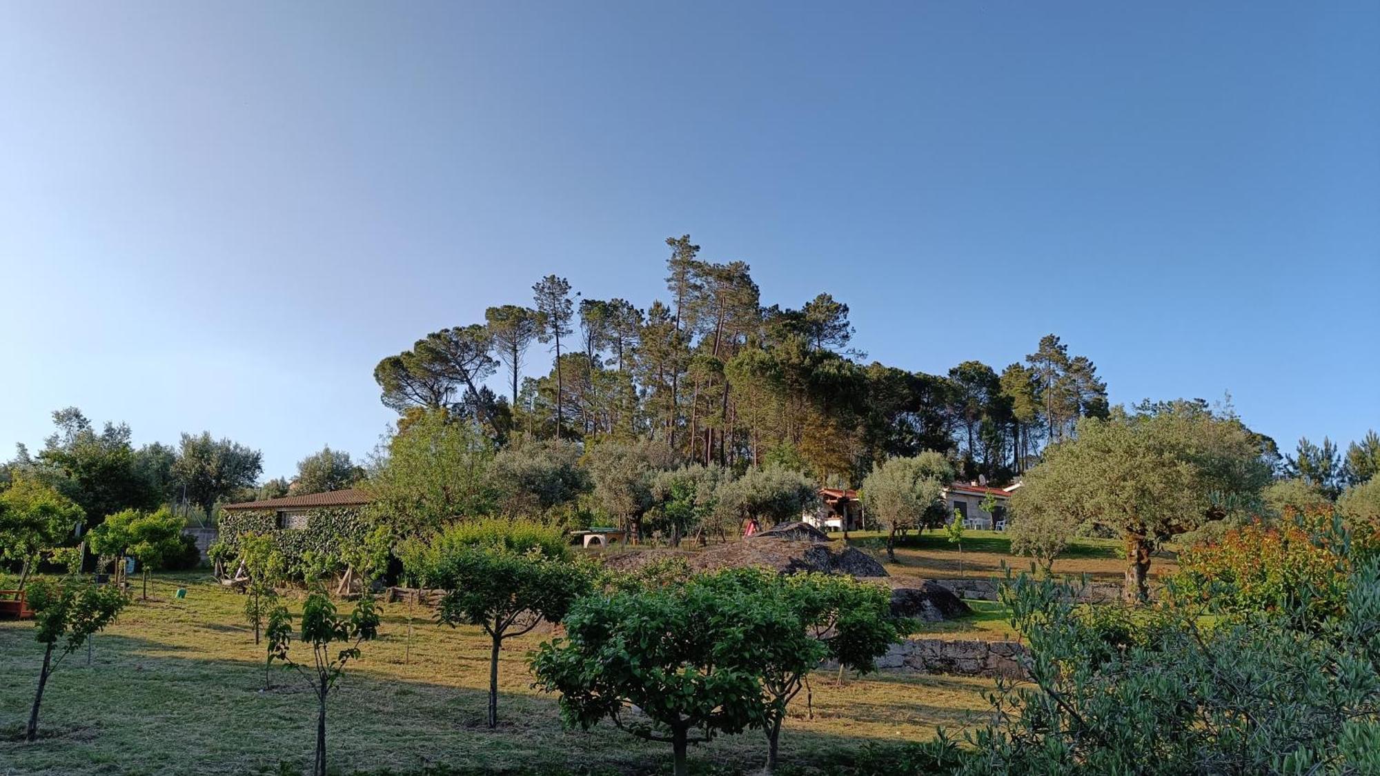 Santar Quinta Da Pedra Mijaゲストハウス エクステリア 写真