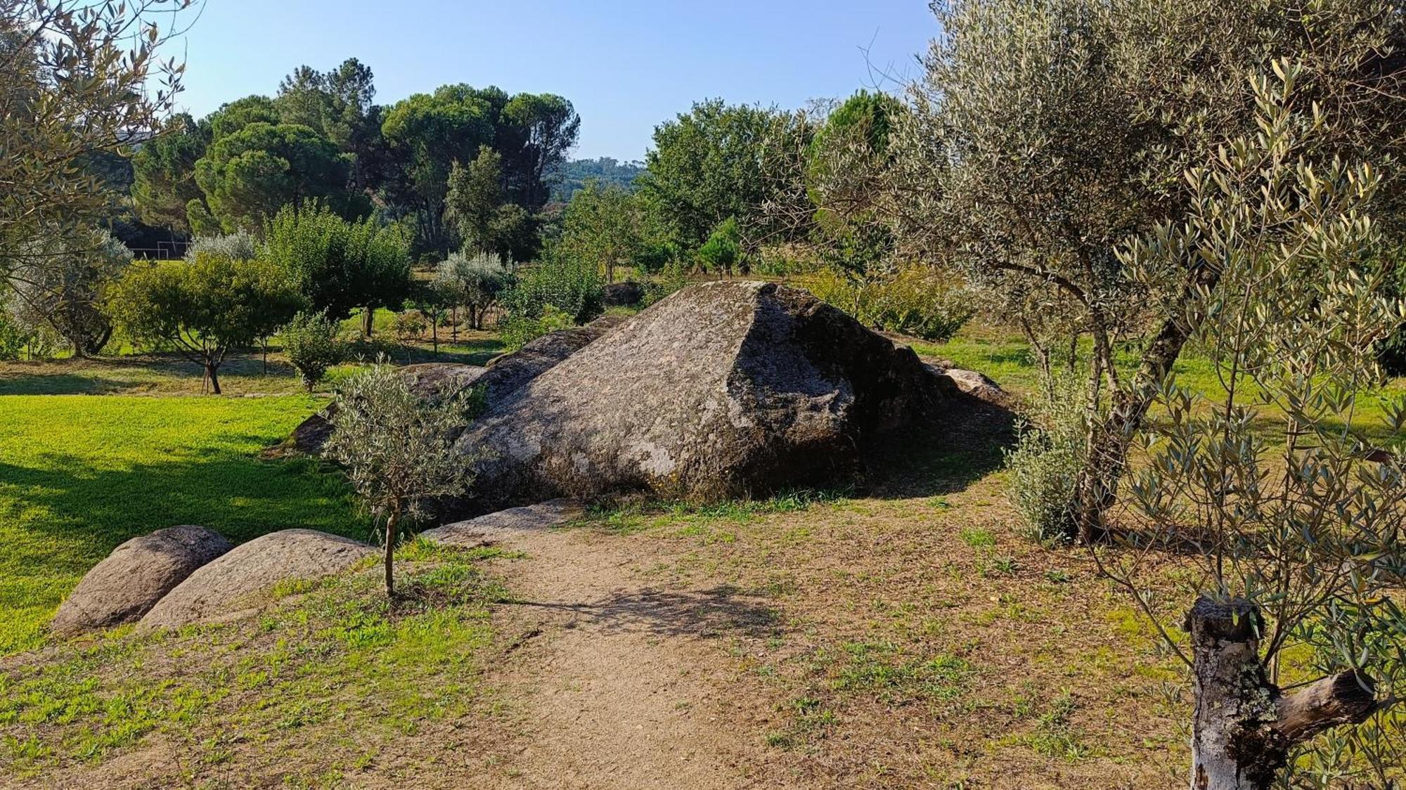 Santar Quinta Da Pedra Mijaゲストハウス エクステリア 写真