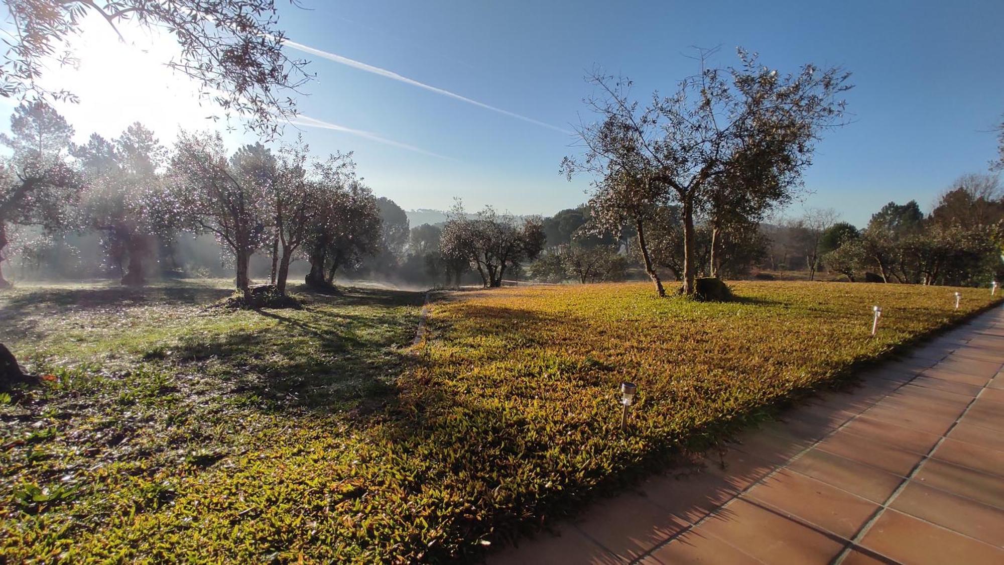 Santar Quinta Da Pedra Mijaゲストハウス エクステリア 写真