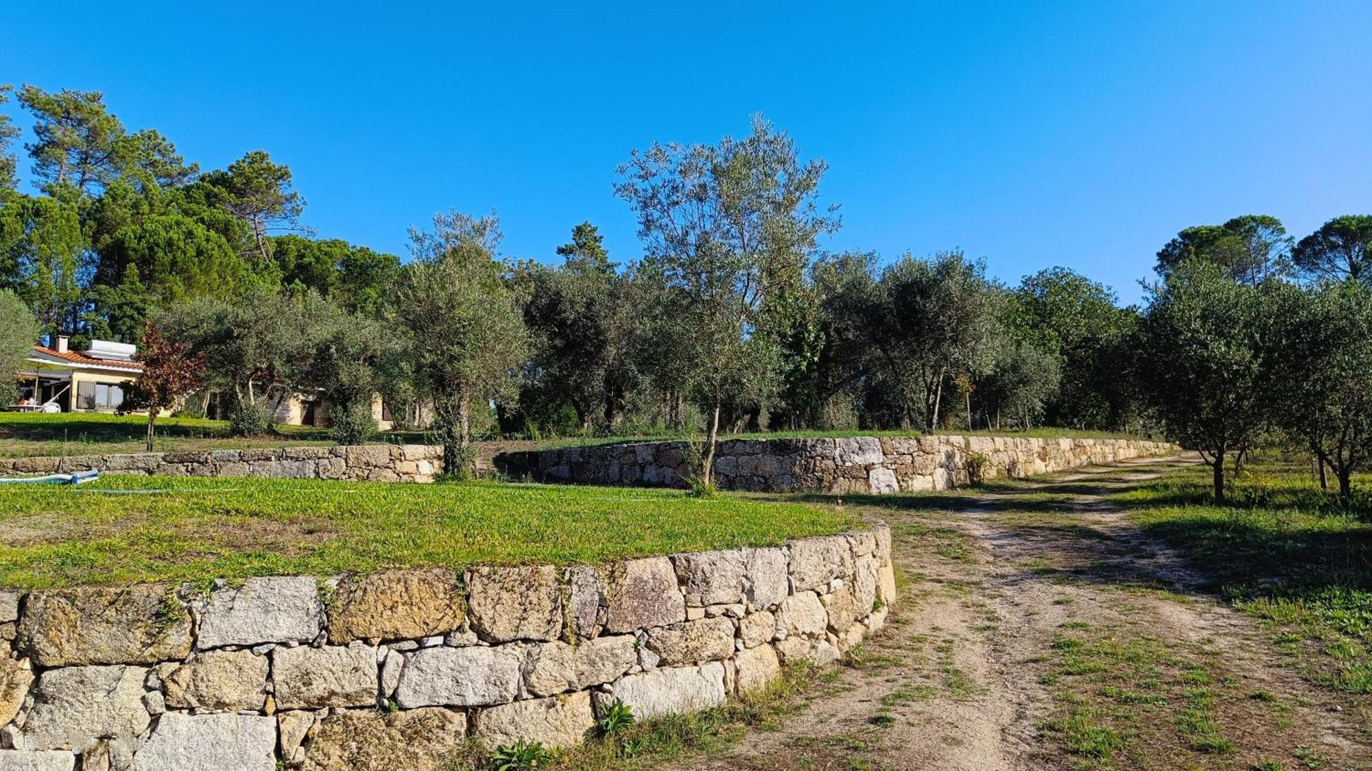 Santar Quinta Da Pedra Mijaゲストハウス エクステリア 写真