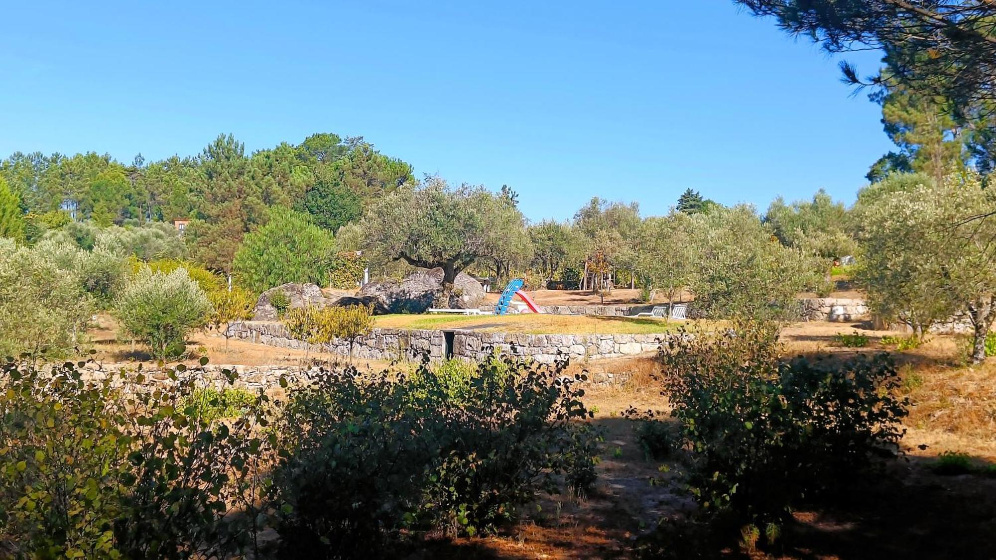 Santar Quinta Da Pedra Mijaゲストハウス エクステリア 写真