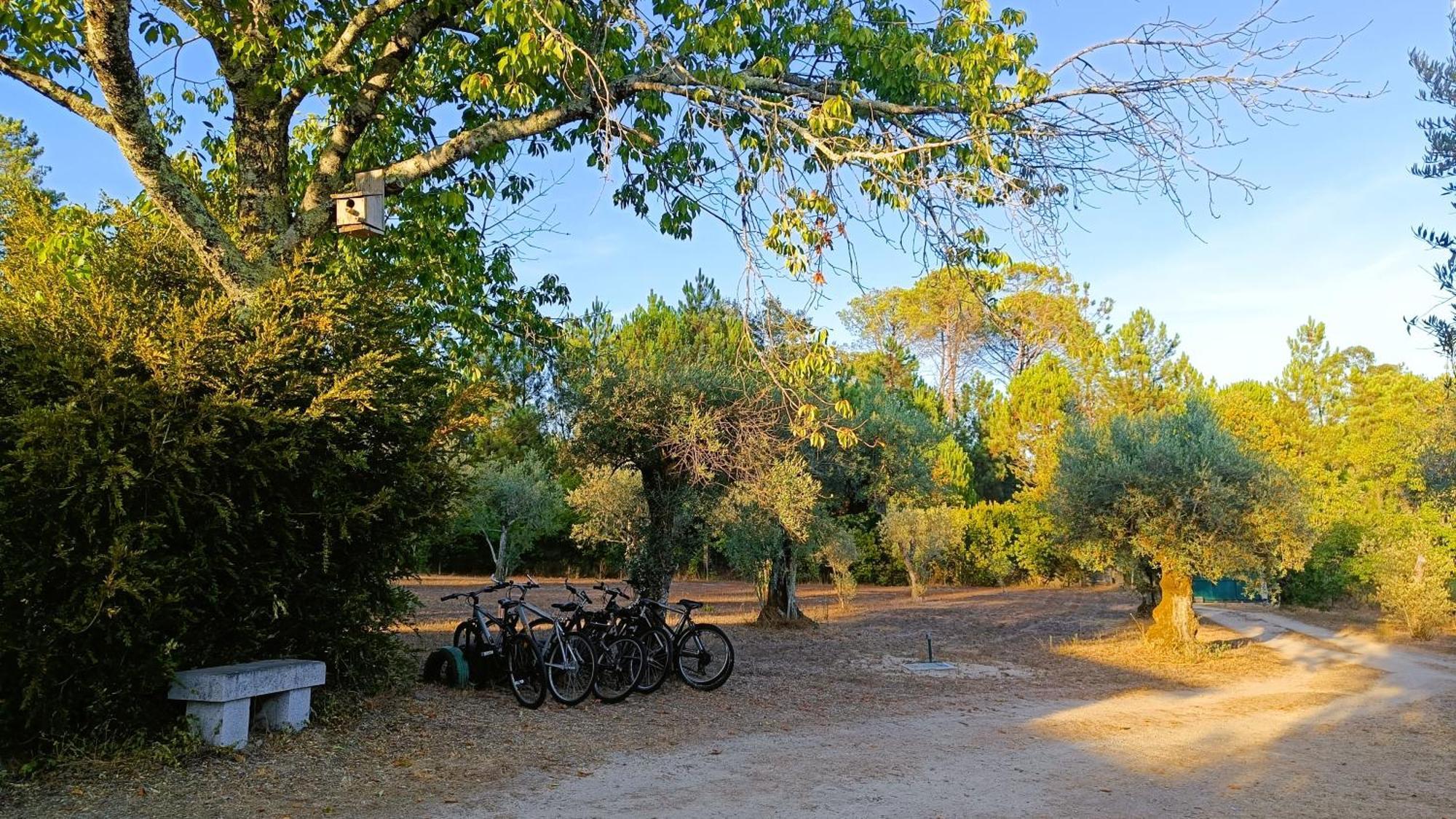 Santar Quinta Da Pedra Mijaゲストハウス エクステリア 写真
