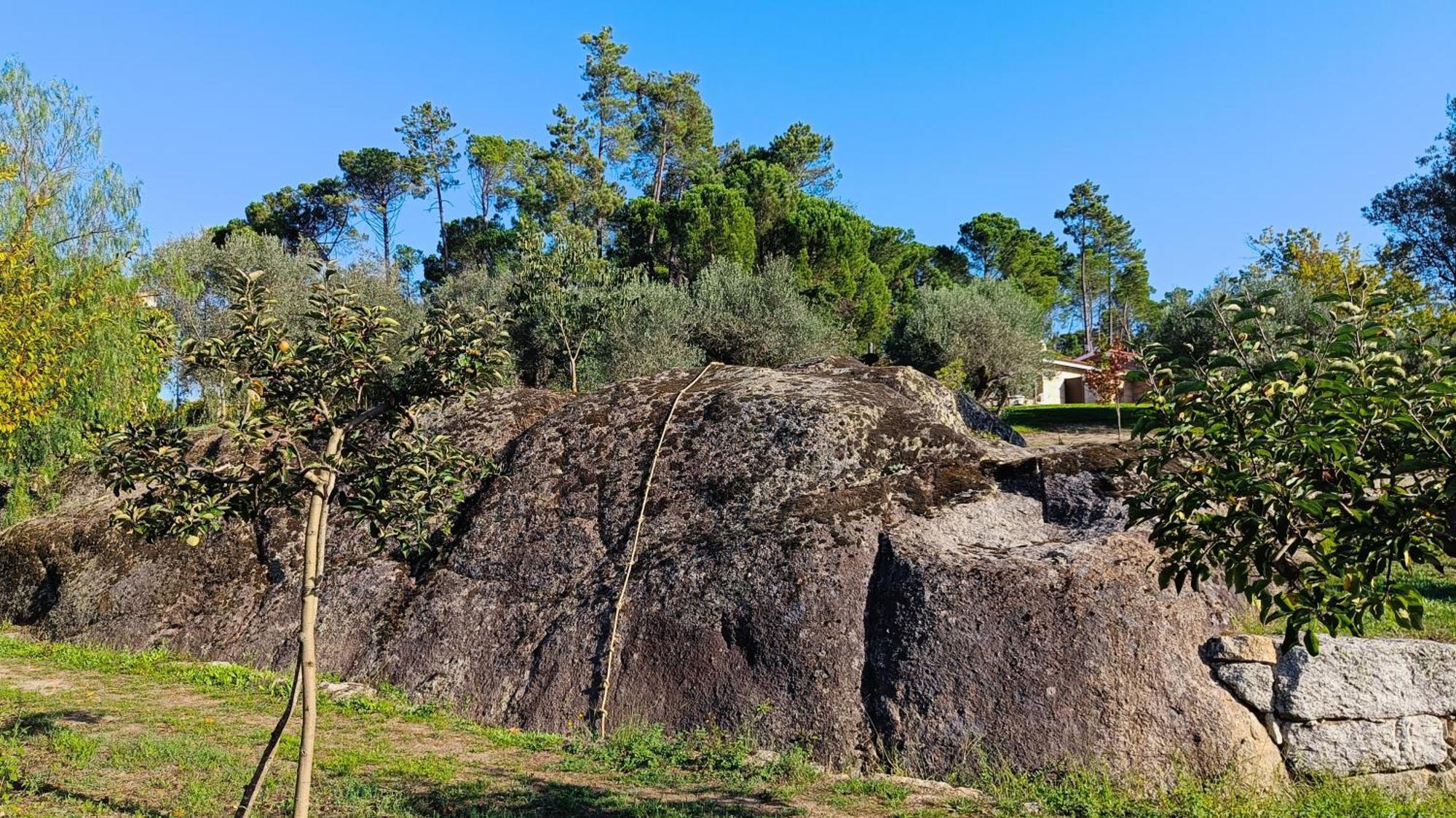 Santar Quinta Da Pedra Mijaゲストハウス エクステリア 写真