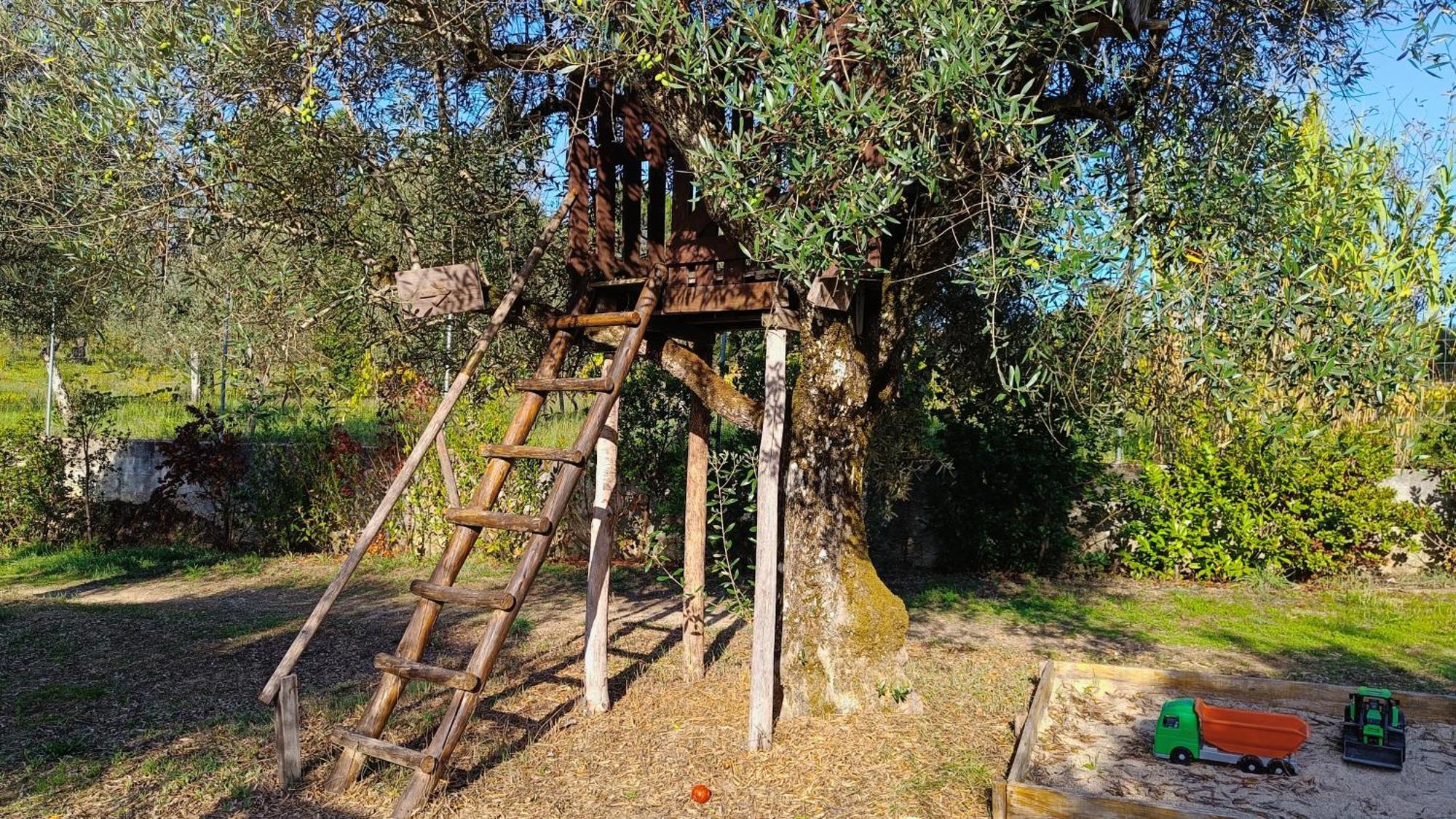 Santar Quinta Da Pedra Mijaゲストハウス エクステリア 写真