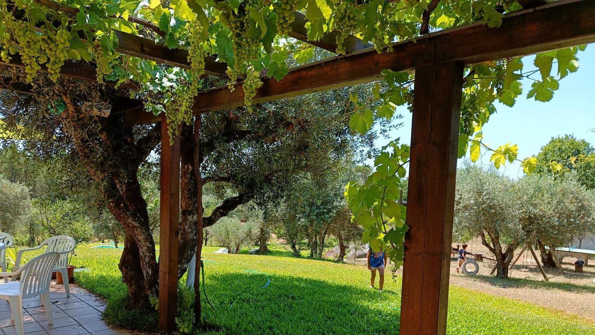 Santar Quinta Da Pedra Mijaゲストハウス エクステリア 写真