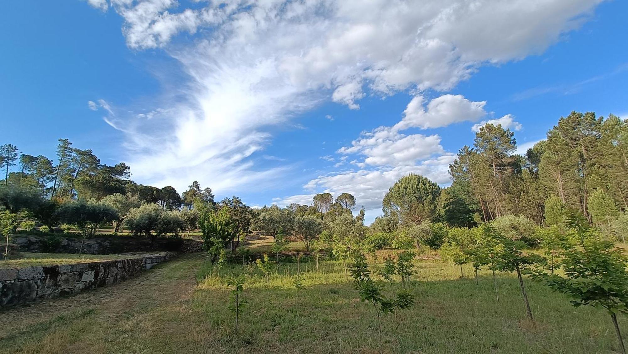 Santar Quinta Da Pedra Mijaゲストハウス エクステリア 写真