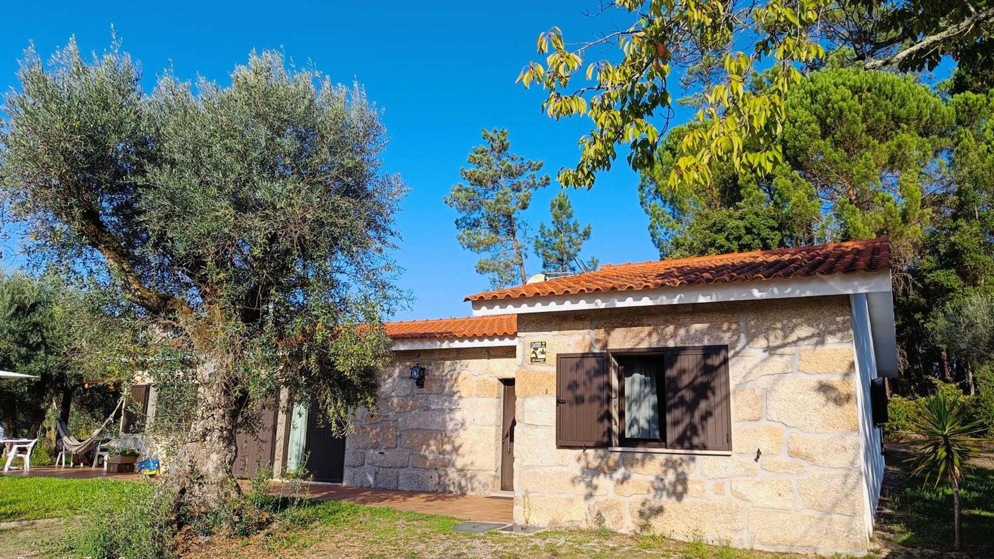 Santar Quinta Da Pedra Mijaゲストハウス エクステリア 写真