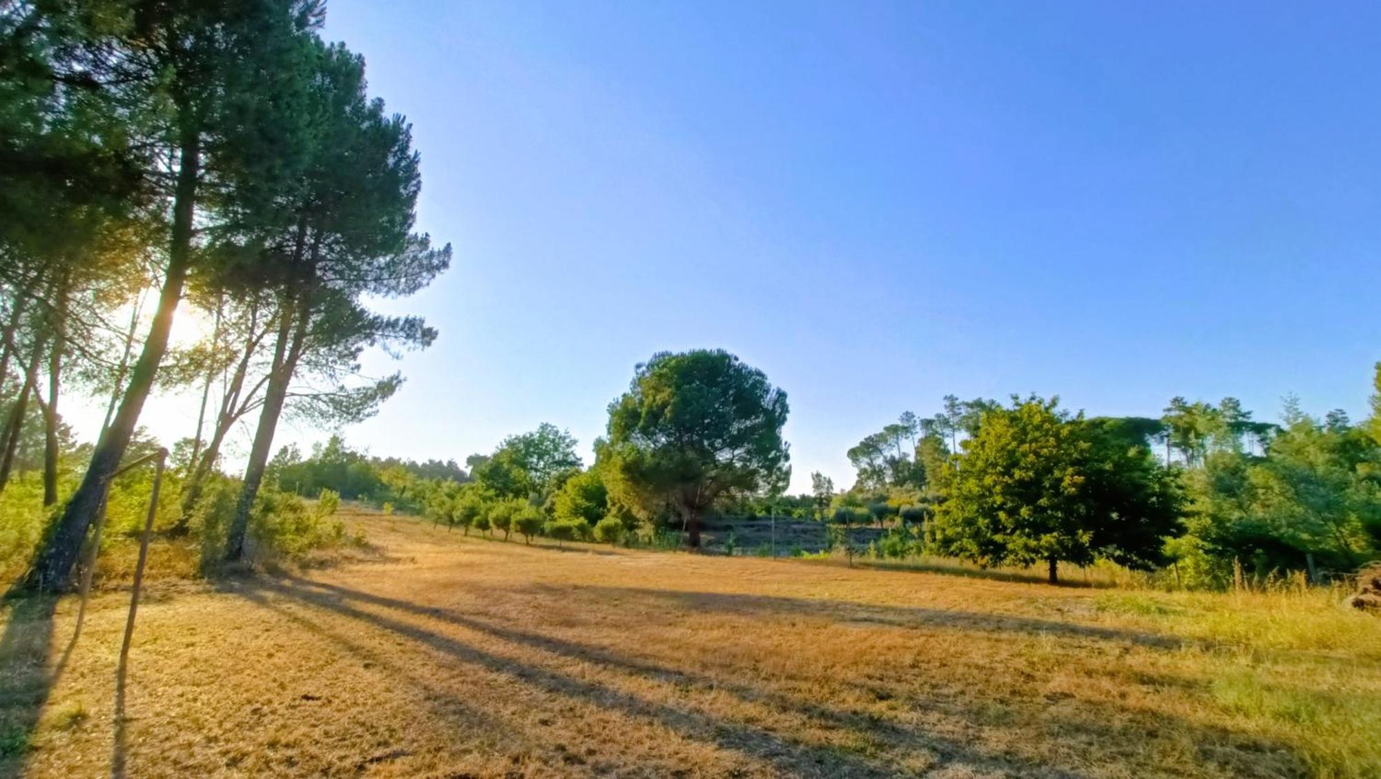 Santar Quinta Da Pedra Mijaゲストハウス エクステリア 写真