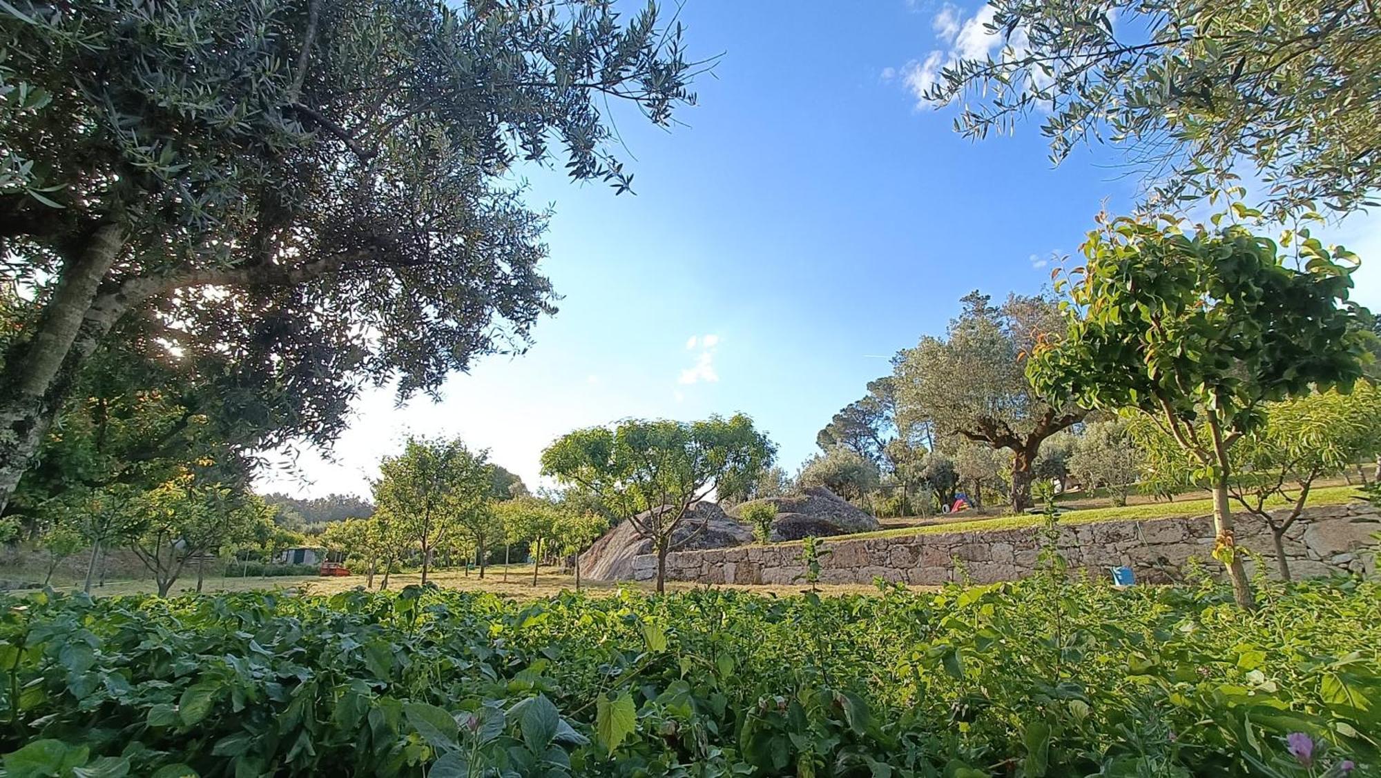 Santar Quinta Da Pedra Mijaゲストハウス エクステリア 写真
