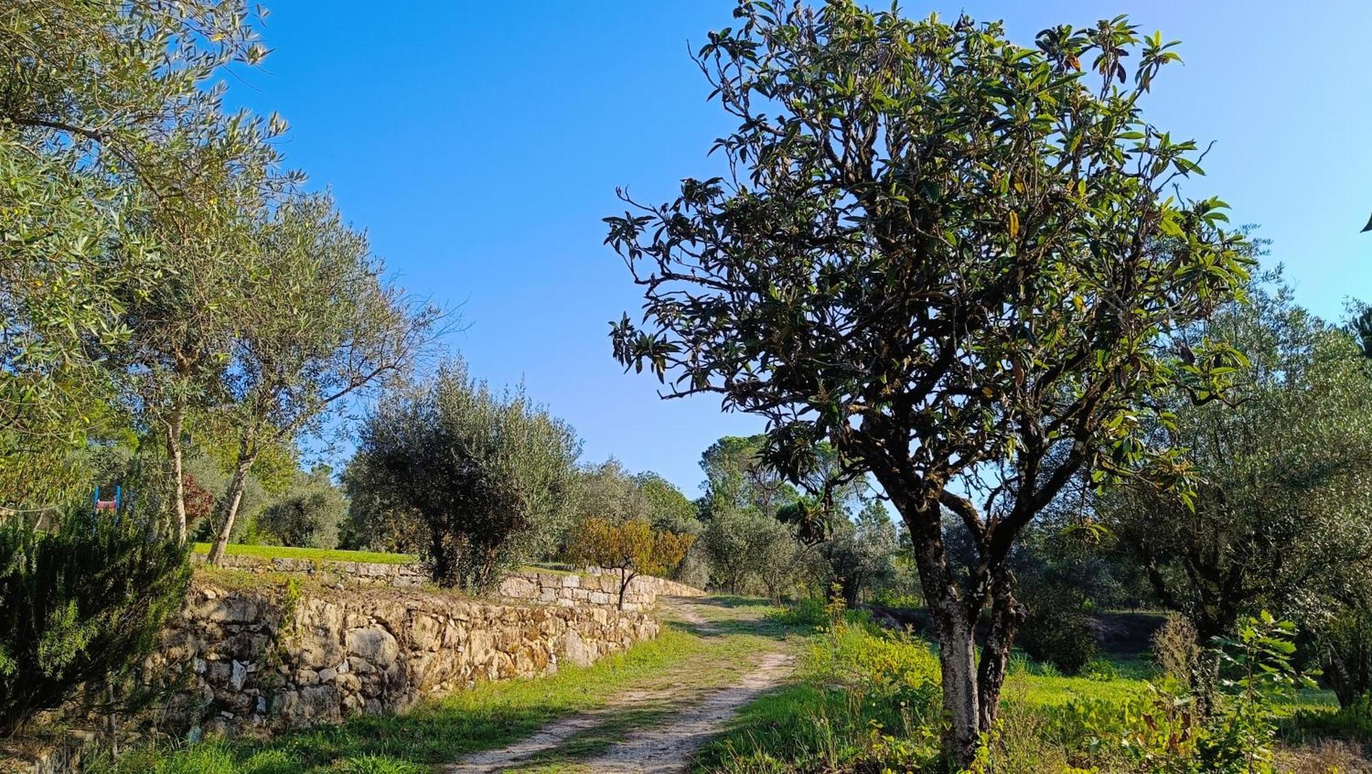 Santar Quinta Da Pedra Mijaゲストハウス エクステリア 写真